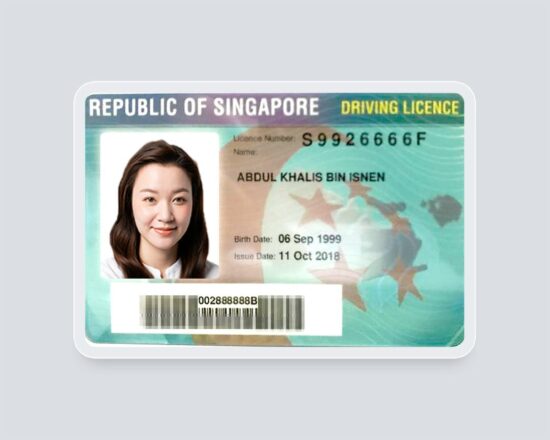Singapore driver's license